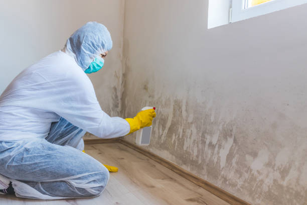 Bathroom Mold Removal assessment in Mountainside bathroom